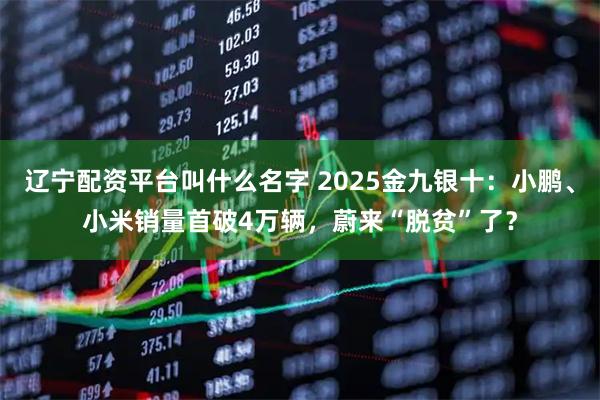 辽宁配资平台叫什么名字 2025金九银十：小鹏、小米销量首破4万辆，蔚来“脱贫”了？