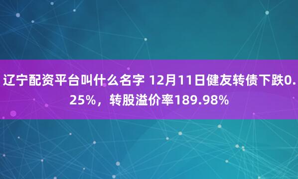 辽宁配资平台叫什么名字 12月11日健友转债下跌0.25%，转股溢价率189.98%
